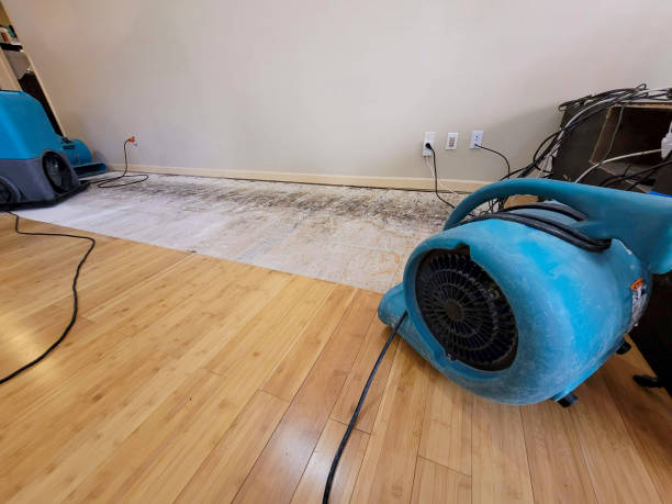 Professional Water Damage Repair technician working in Bailey, MI